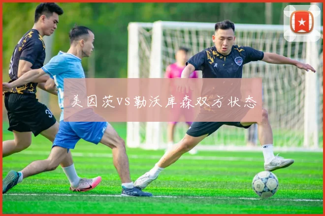 美因茨vs勒沃库森双方状态