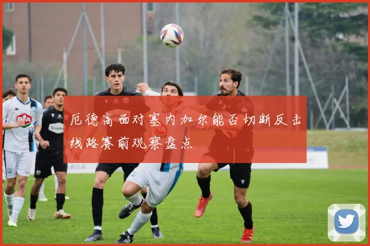 厄德高面对塞内加尔能否切断反击线路赛前观察盘点