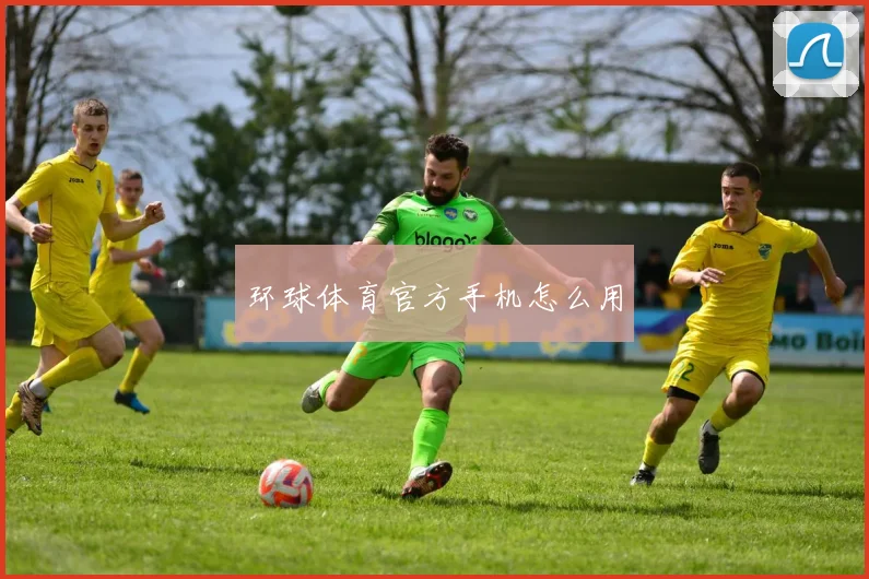 环球体育官方手机怎么用